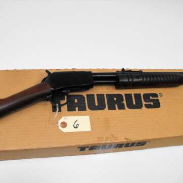 Carabina TAURUS M 172 Calibre 17 HMR - Imagem 4